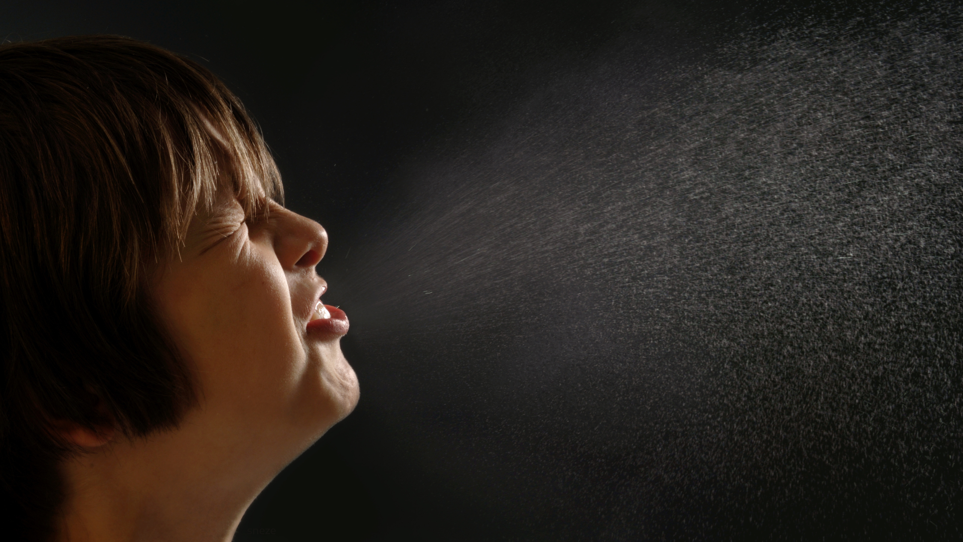 air purification services