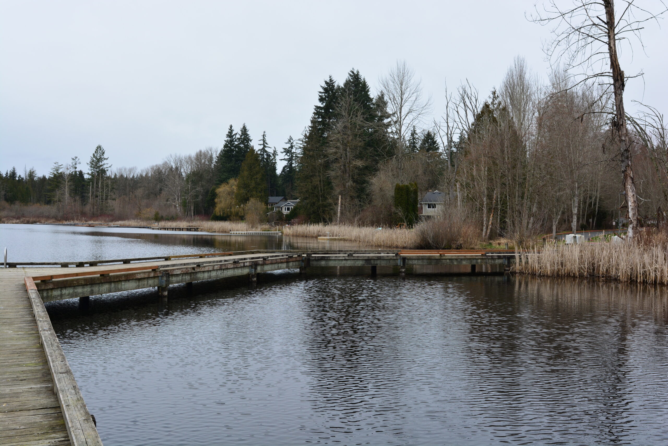 Wooden boardwalk along the calm water of Cottage Lake, where Mayster delivers HVAC services in Cottage Lake WA to nearby families