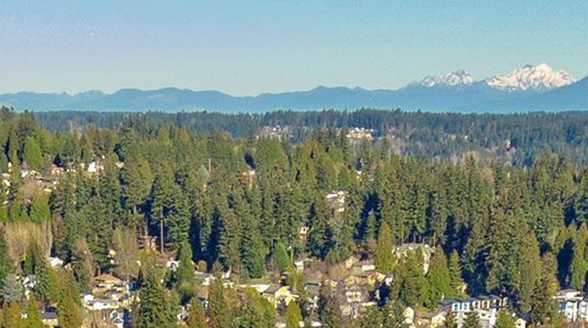 Evergreen forest and Bothell homes with snow-capped mountains in the distance, an area where Mayster provides HVAC services in Bothell WA to local families